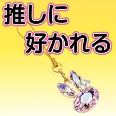 Asami❄️さま専用　推しに好かれるお守り　奇跡が起きすぎるアイテム　推し活