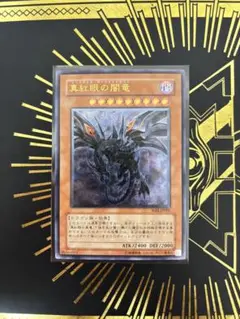 早い者勝ち❗️真紅眼の闇竜(レッドアイズダークネスドラゴン)レリーフ PSA10❗️ 遊戯王 レッドアイズ・ダークネスドラゴン 真紅眼の闇竜 PSA10