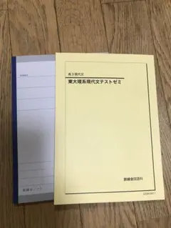 金剛です。鉄緑会　理系　現代文　全五回　東大理系現代文テストゼミ　高3 Amazon.co.jp: 鉄緑会高3現代文 東大理系現代文テストゼミ2022