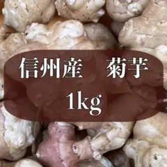 信州産　自然栽培　菊芋(土付き)　1kg