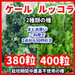 もみじ様 リクエスト 3点 まとめ商品