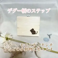 非売品】ディズニー サービスアワードピン 蒸気船ミッキー - メルカリ