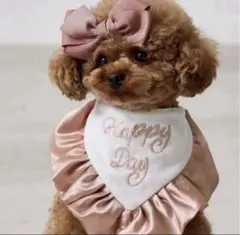 3coins スタイ＆リボンセット ピンク 犬服 ペット服 スリコ