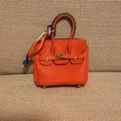 ライオンの子様 リクエスト 2点 まとめ商品