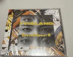 FTISLAND lnstinct 通常盤