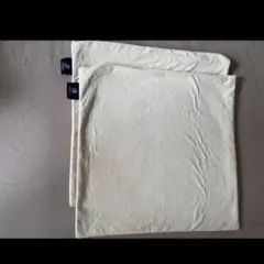クリーム色の枕カバー2枚セット 45x45cm