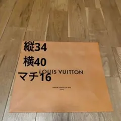 LOUIS VUITTON 紙袋 オレンジ色