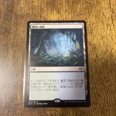 MTG 三本木市/Three Tree Cit 冬 ボーダレス 日本語版 - メルカリ