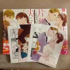 結婚したけど…夫に片想いしています上下巻