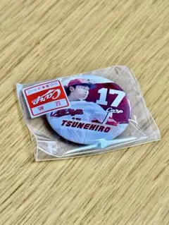 2026年最新】広島東洋カープ タイプ：選手 野球 記念グッズの人気