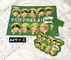 SnowMan Calbee カルビー 非売品 フライヤー