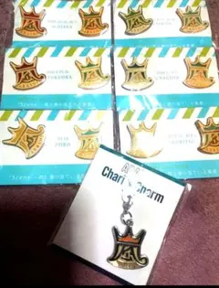 新品未使用嵐会場限定ピンバッジフルセット