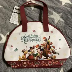 ディズニースーベニアランチケース