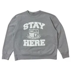 アメリカ古着 スウェット トレーナー ヘビーウエイト ビッグプリント L 長袖