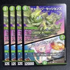 キャベッジセッションズ　ソイルピンプキャベッジ 4枚