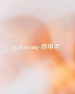 yukiyanagi様専用