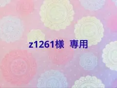z1261様 リクエスト 2点 まとめ商品