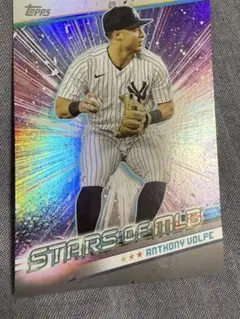 アンソニーボルピー　世界に25枚限定　ヤンキース　ルーキーカード アンソニーボルピー 世界に25枚限定 ヤンキース ルーキーカード