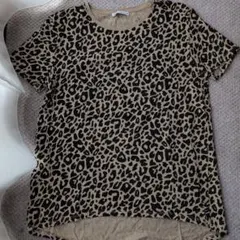 ZARA ヒョウ柄 Tシャツ Mサイズ