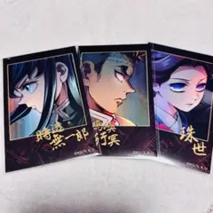 鬼滅の刃　時透　悲鳴嶼　珠世　ランダムチェキ風ブロマイド　ティザービジュアル