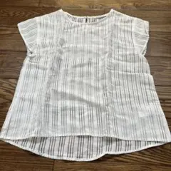 Item thumbnail for item e347cf17-daea-49ba-bc42-0549c7449846