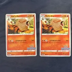 ポケカ　ウィンディ ひだまりタックル イラストレーション2022 プロモ