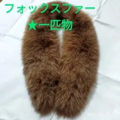 [良質]リアルFOX　フォックスファー　ストール　マフラー　一匹物 きつね色