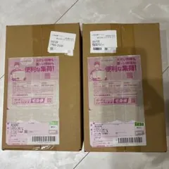 ポケカ スペシャルBOX ポケモンセンター ヒロシマ 輸送箱新品未開封 2BOX