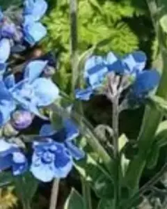 pipi様 リクエスト 2点 まとめ商品