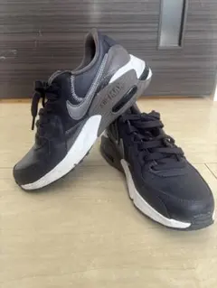 ＮＩＫＥ エアマックス「 DM0837-500」 24cm