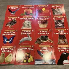 SCHOLASTIC Guided Science Reders A