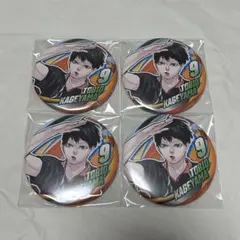 ハイキュー ファンパーク コレクション缶バッジ