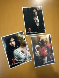 y*u様 最安値　Acid Black Cherry トレカ　yasu 32枚ま y*u様 最安値 Acid Black Cherry トレカ yasu 32枚ま y*