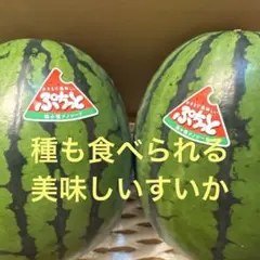 ⑱今年も始まりました！お中元に父の日に大好評♪茨城産のすいか