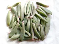 happy life❤︎様 リクエスト 2点 まとめ商品