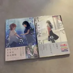 やがて君になる 5巻 6巻