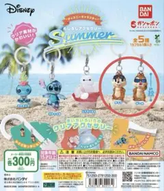 【あ様専用】ディズニー めじるしアクセサリー SUMMER チップ デール