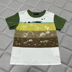 kladskap 恐竜 化石 プリント Tシャツ 110cmのサムネイル