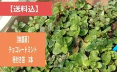 marron⭐︎プロフィールご確認下さい様 リクエスト 2点 まとめ商品