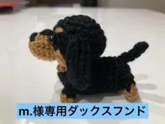 m.様専用ダックスフンド