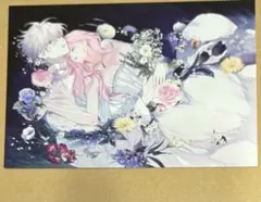 花秘める君のメテオール 花メテ ポストカード 購入特典 抽選　ステラ ラビ　C賞