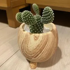 ジン様 リクエスト 2点 まとめ商品