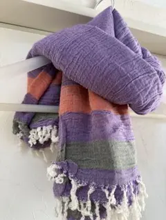 Item thumbnail for item bf310605-dca2-4221-9ff0-c6d5eaa877cc