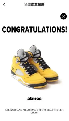 30cm Nike Air Jordan 5 Retro Tokyo23