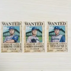 人気選手　日ハム　ワンピース　コラボステッカー