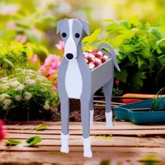 ウィペット