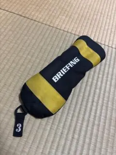 Item thumbnail for item 179f2465-286b-4688-ad87-c242a45babf2