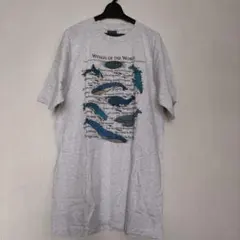 Item thumbnail for item a02e6bad-074d-4083-af19-d99e03943195