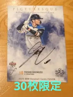 北海道日本ハムファイターズ スポーツカード