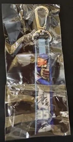中日ドラゴンズ　2025年ドームガチャ　選手フォトミニボンフィン　木下拓哉選手